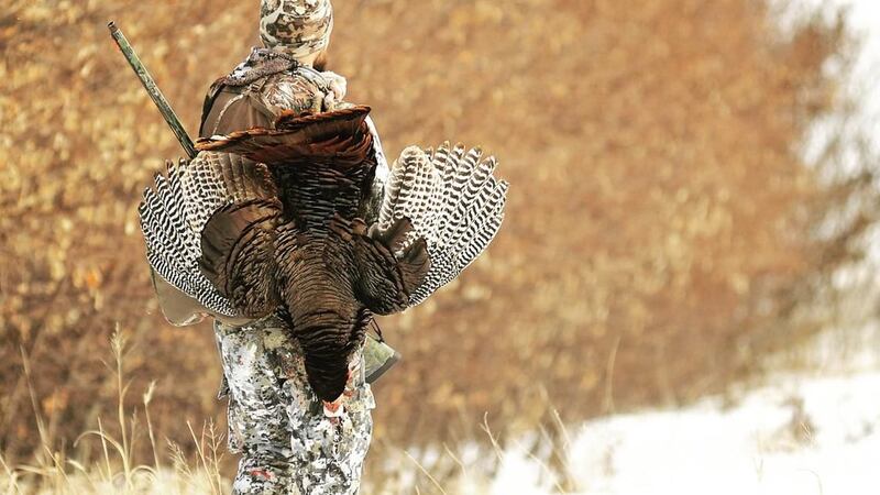 the charges stem from an investigation involving the illegal hunting of wild turkeys in...