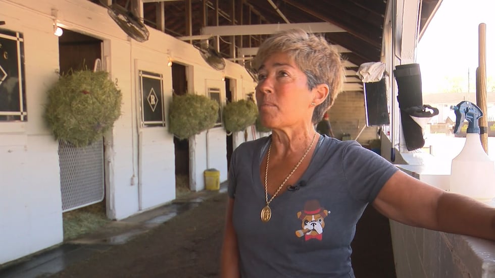Tammy Fox, longtime partner of trainer Dale Romans.