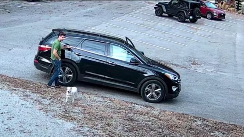 Park officials and Nelson County Animal Control are searching for the man seen abandoning a...