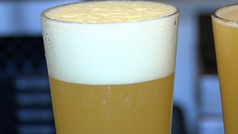 Climate change can impact beer's main ingredients: water, barley, and hops.