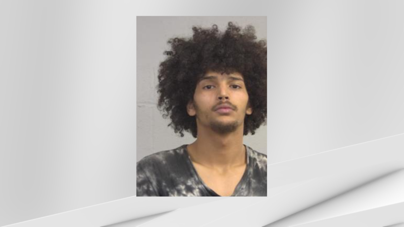 Damian Maddox, 22, was charged with fleeing or evading police, endangering the welfare of a...