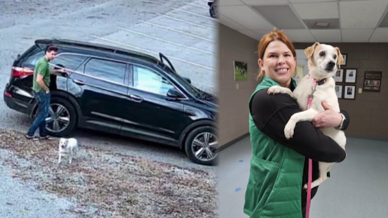 homework then and now The dog abandoned at Bourbon City Dog Park last month has been adopted.