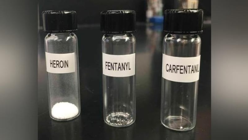 A visual of the dose of heroin, fentanyl and carfentanil needed to kill an average adult.