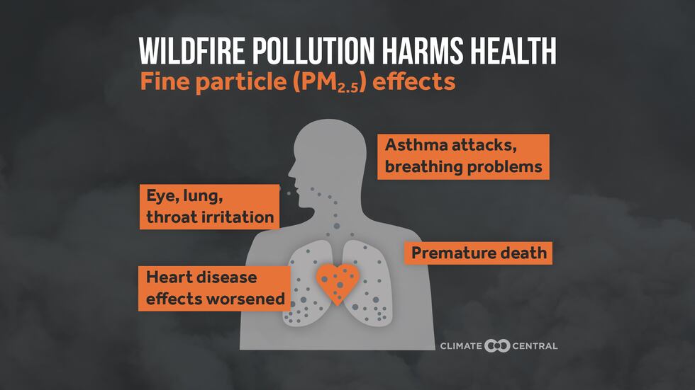 The small particulates in smoke can cause serious health issues.