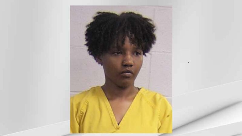 Telnesha Antnetta Brown, 18, of Louisville, is facing 76 charges in connection with the...