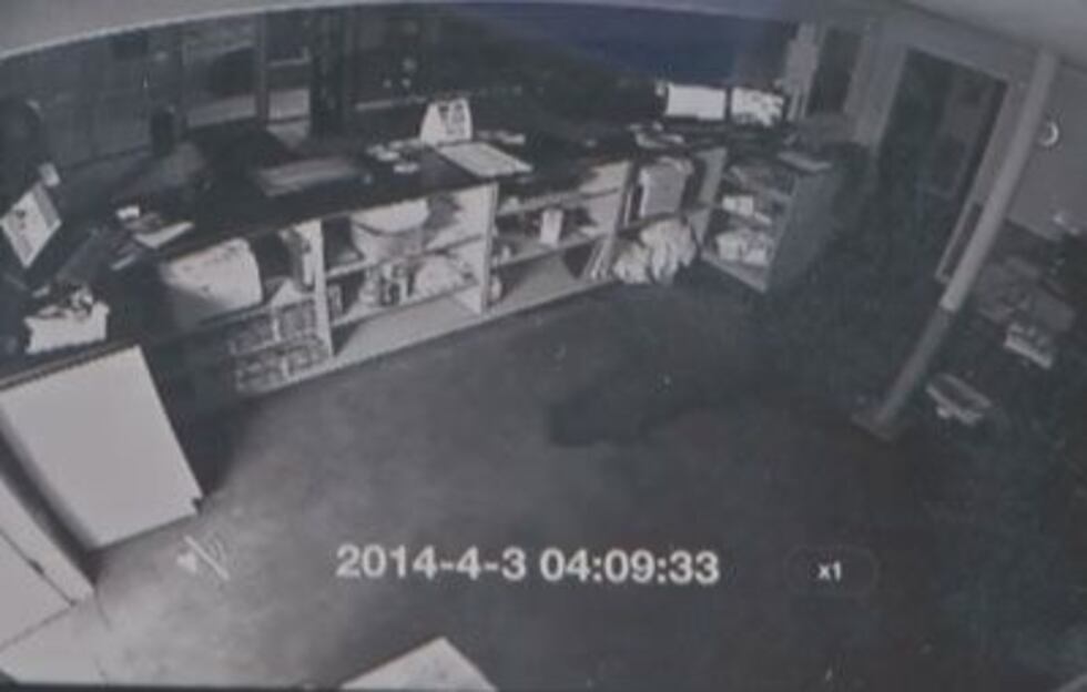 Insurance won't cover damage in Chapman Tire & Auto Care Center.