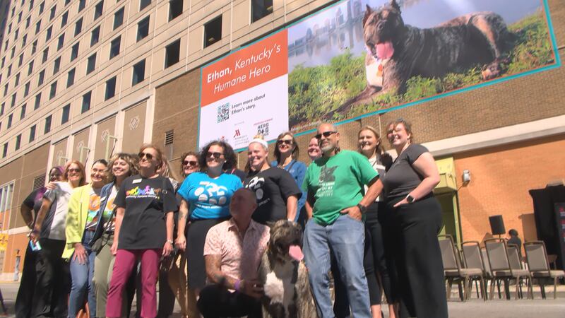 Louisville’s most famous dog is now officially a Hometown Hero.