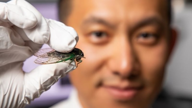 Chuang Qu, a senior research engineer at UofL’s J.B. Speed School of Engineering specializing...