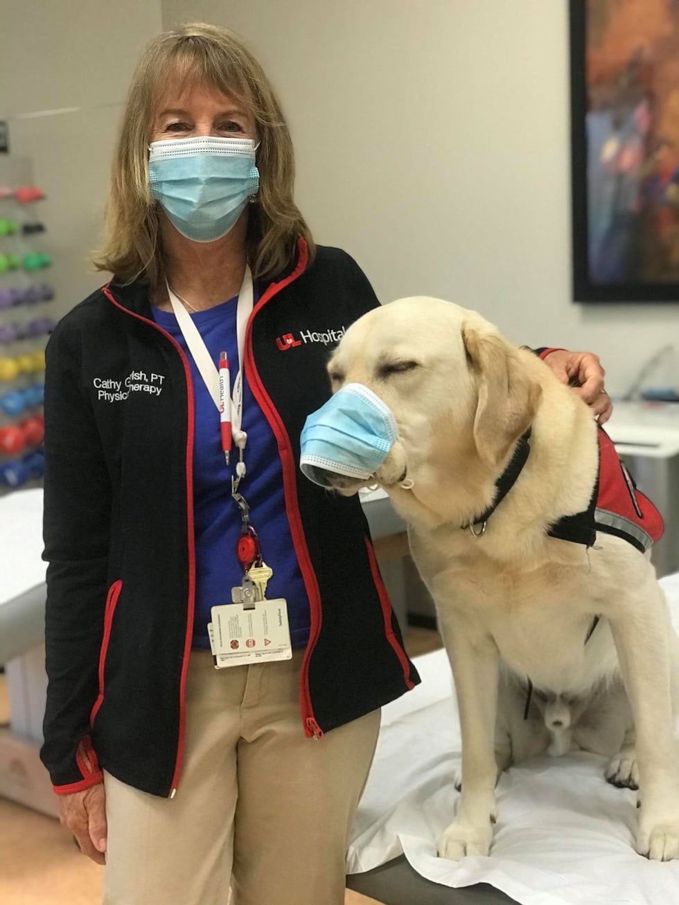 Travis the facility dog comes in to work every day at UofL Hospital. Similar to a therapy dog,...