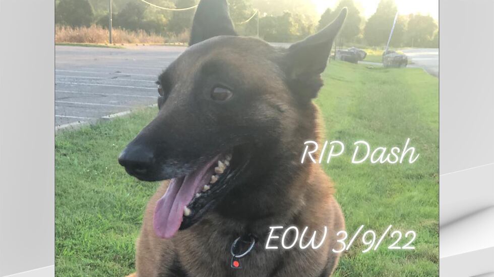 Shepherdsville Police Department K-9 Dash