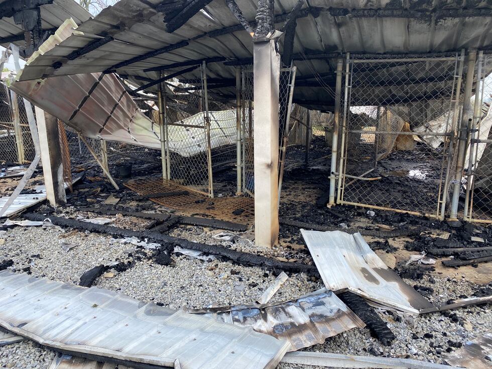 fire at Doggy Style Kennels