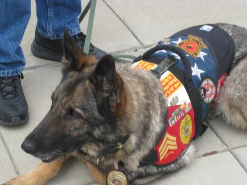 MWD Beyco (source: Facebook)