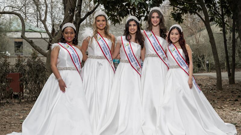(From left to right) Hayley Benson, Lauren Carter, Mahshad Taheri, Mallory Hudson and Valerie...