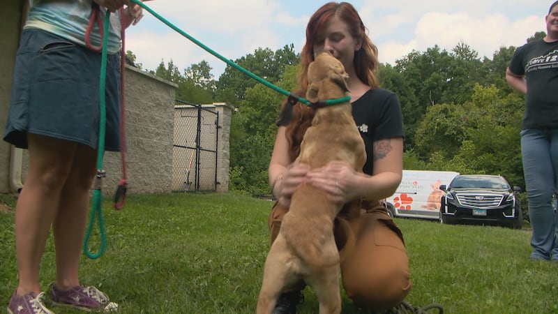 72 Animals From Desperate Eastern Kentucky Shelters To Arrive at KHS Pet Retreat