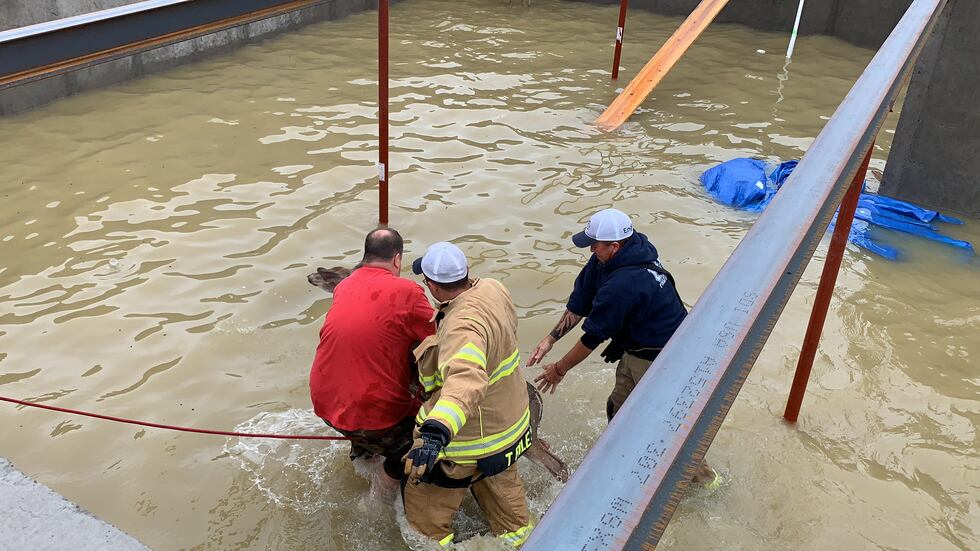 The deer were carefully wrapped in tarp and lifted to safety.