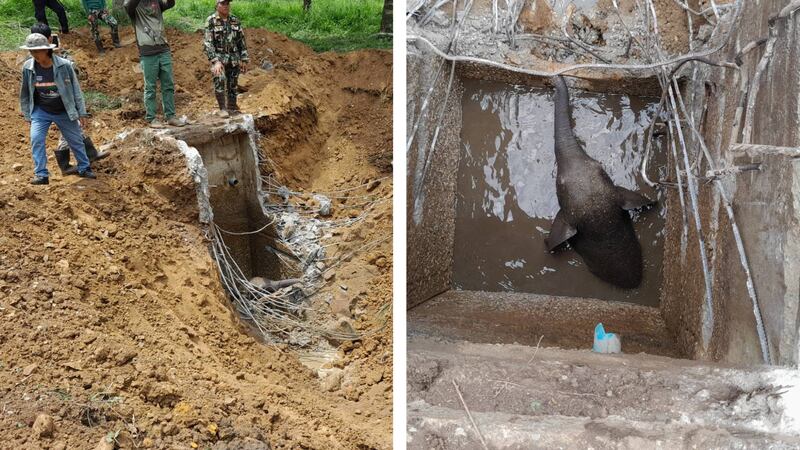 Rescuers in Thailand helped save a baby elephant trapped in a cement drainage pond.