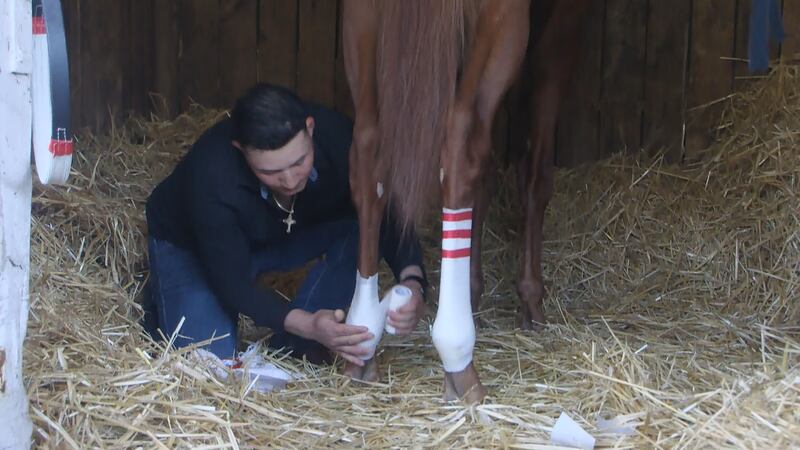 Walking around barn 30 at Churchill’s Backside, you might hear more than horses neighing.