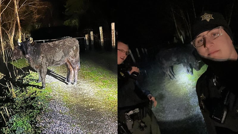 Photo Courtesy: Whitley County Sheriff's Office Facebook