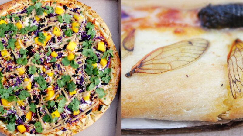 Spicy Thai Cicada Pie