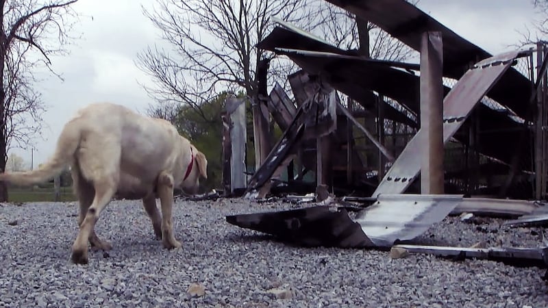 Tragedy occurred on April 23 as 54 of Ron Kraemer's dogs died after a fire destroyed his...